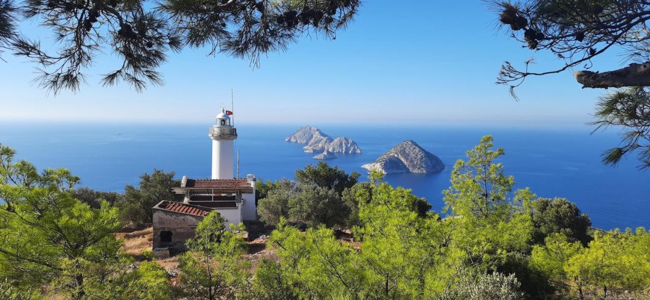 Gelidonia Fenerium Holiday Home أنطاليا المظهر الخارجي الصورة