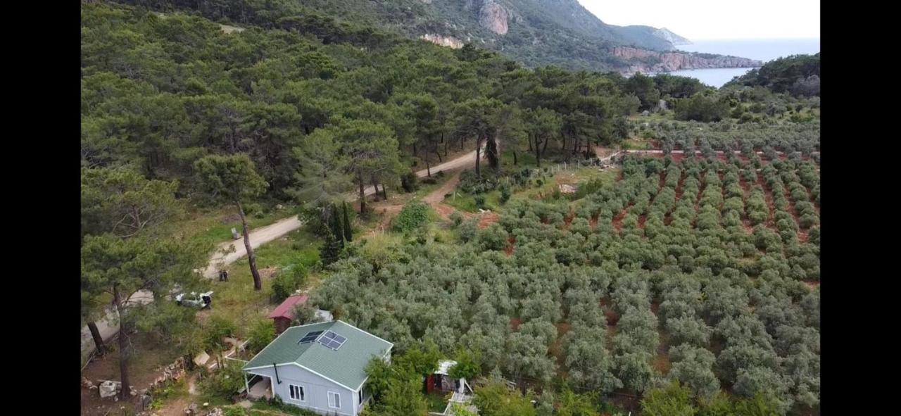 Gelidonia Fenerium Holiday Home أنطاليا المظهر الخارجي الصورة