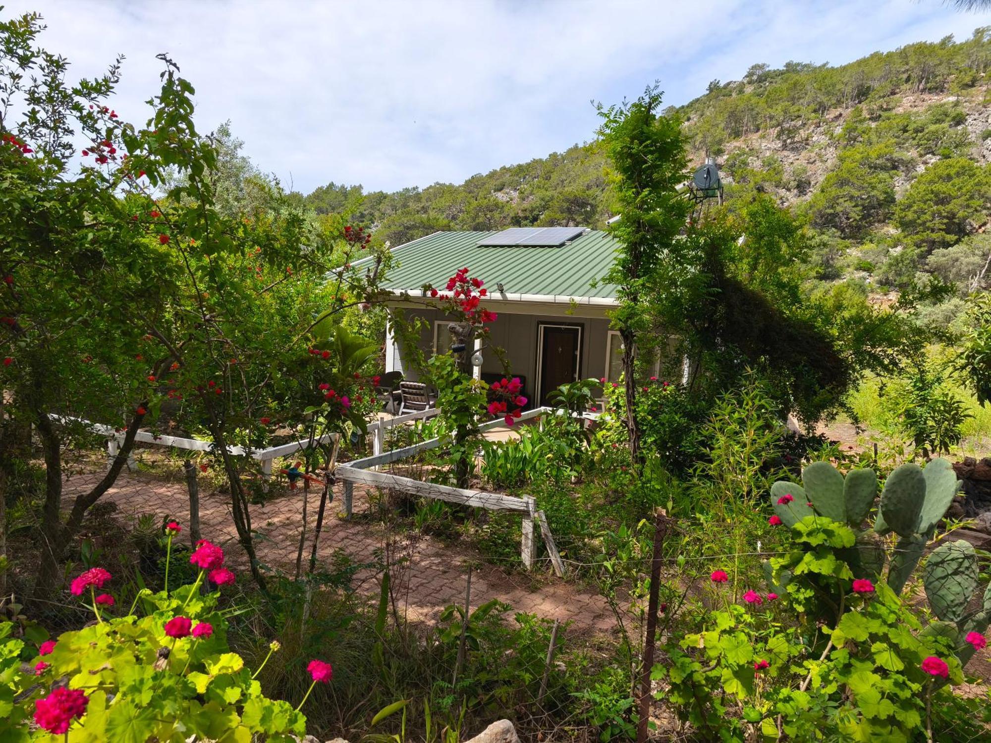 Gelidonia Fenerium Holiday Home أنطاليا المظهر الخارجي الصورة