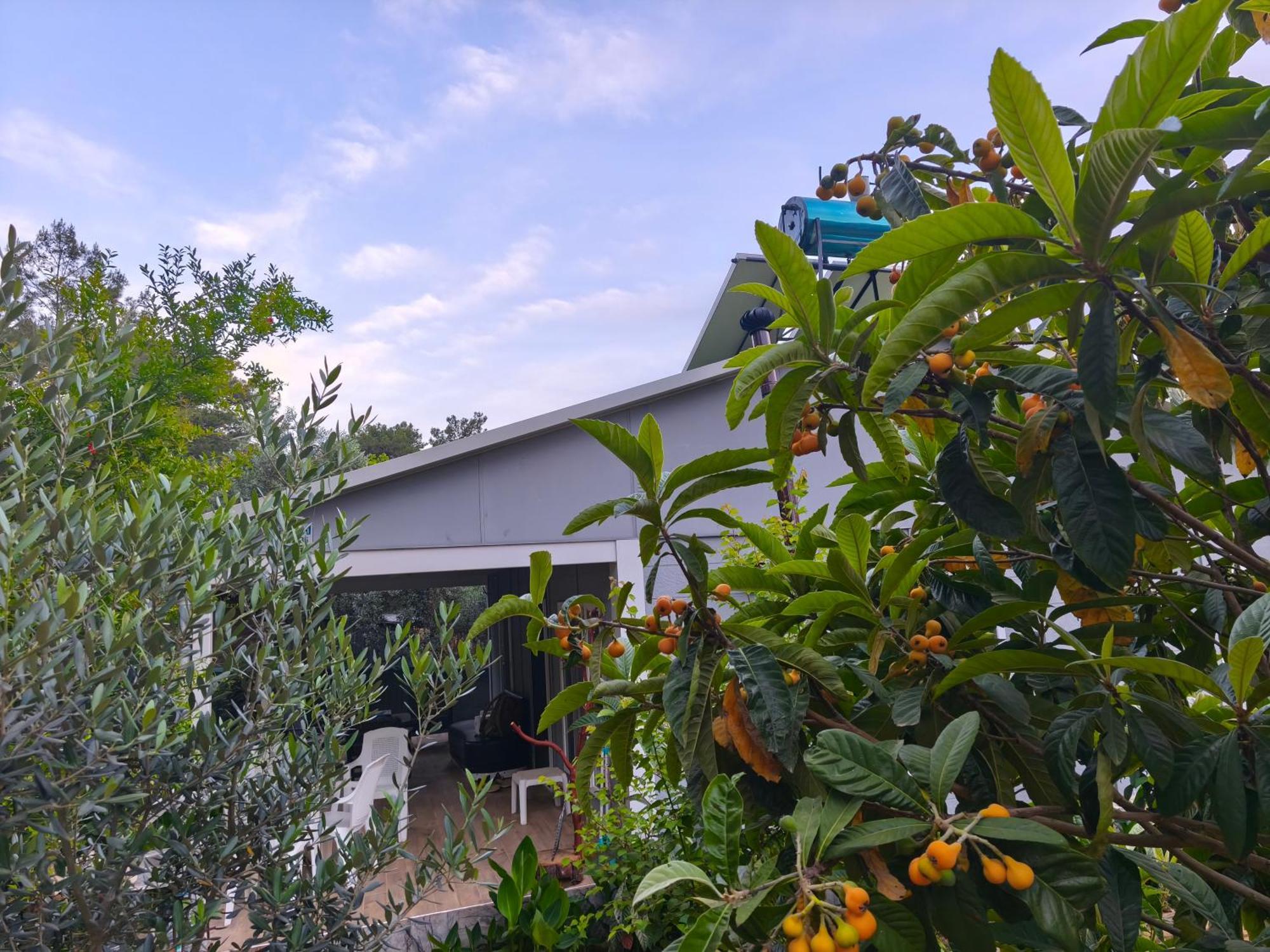 Gelidonia Fenerium Holiday Home أنطاليا المظهر الخارجي الصورة